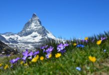 ALPEN-Methode: Tagesabläufe optimiert planen ALPEN-Methode Zeitmanagement - Produktivität im HomeOffice steigern - Tagesablauf richtig planen und organisieren