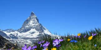 ALPEN-Methode: Tagesabläufe optimiert planen ALPEN-Methode Zeitmanagement - Produktivität im HomeOffice steigern - Tagesablauf richtig planen und organisieren