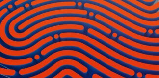 Identity Management Tools: Vergleich, Best Practices & Trends für Unternehmen Identity Management - IAM - Identity Access Management - MFA - Multi-Faktor-Authentifizierung - Identity as a Service - IT-Sicherheit - Identity Goivernanace